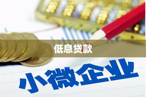 土默特左旗低息贷款