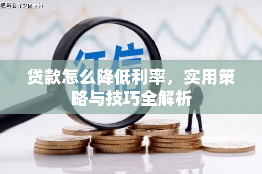 土默特左旗贷款怎么降低利率，实用策略与技巧全解析