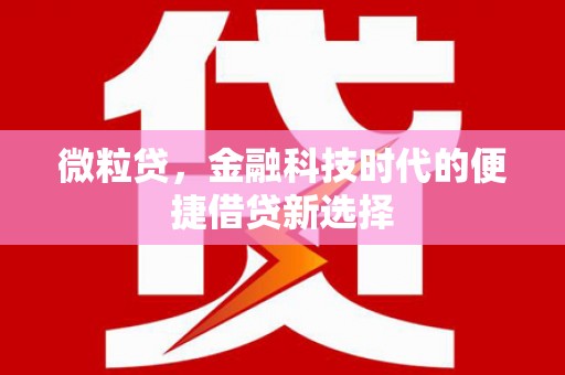 土默特左旗微粒贷，金融科技时代的便捷借贷新选择