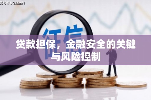 土默特左旗贷款担保，金融安全的关键与风险控制
