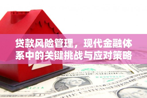 土默特左旗贷款风险管理，现代金融体系中的关键挑战与应对策略