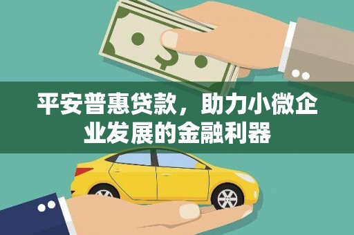 土默特左旗平安普惠贷款，助力小微企业发展的金融利器
