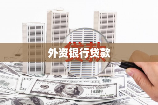 土默特左旗外资银行贷款