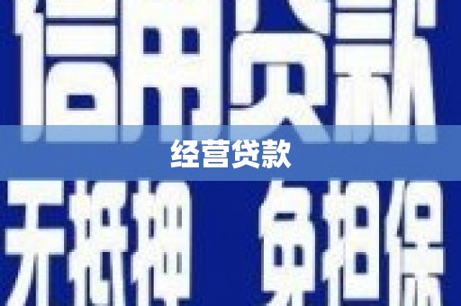 土默特左旗经营贷款