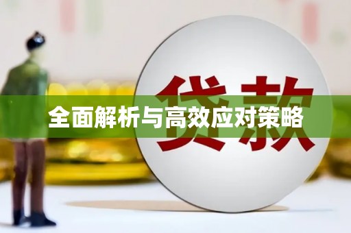 土默特左旗全面解析与高效应对策略