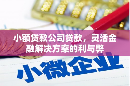 土默特左旗小额贷款公司贷款，灵活金融解决方案的利与弊